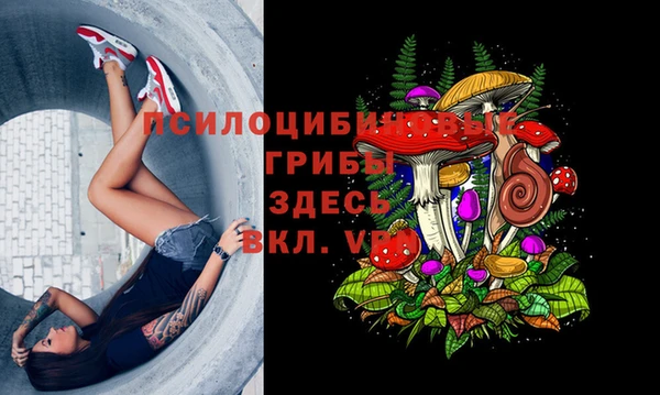 МДПВ Богородск