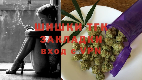 PSILOCYBIN Бронницы
