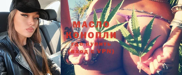 МДПВ Богородск
