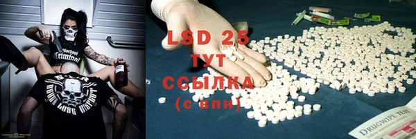 гидра Туринск