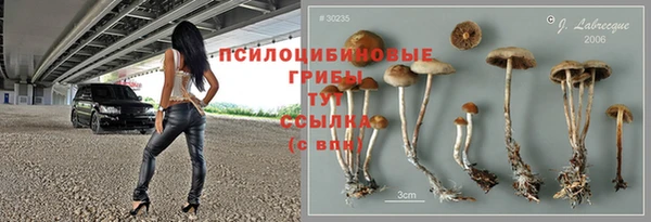 метадон Тутаев